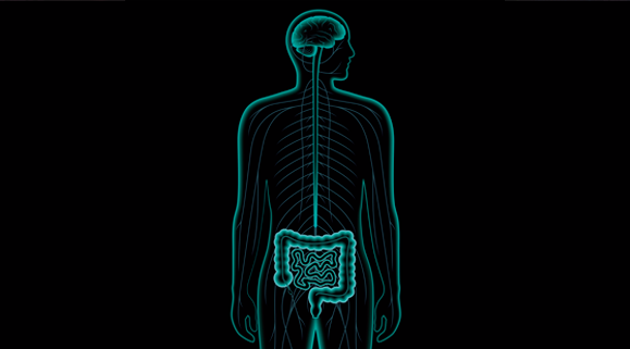 banner 1 pni nutricio clinica del vertigen osteopatia