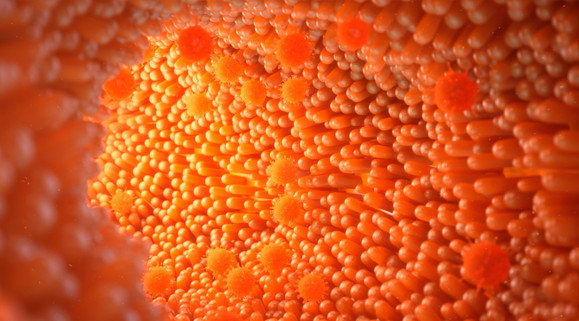 banner 2 pni nutricio clinica del vertigen osteopatia